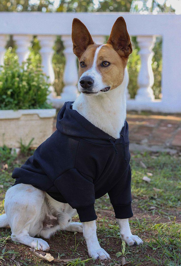 Roupas de Inverno para Pets com Capuz - Adidog™ - My Store