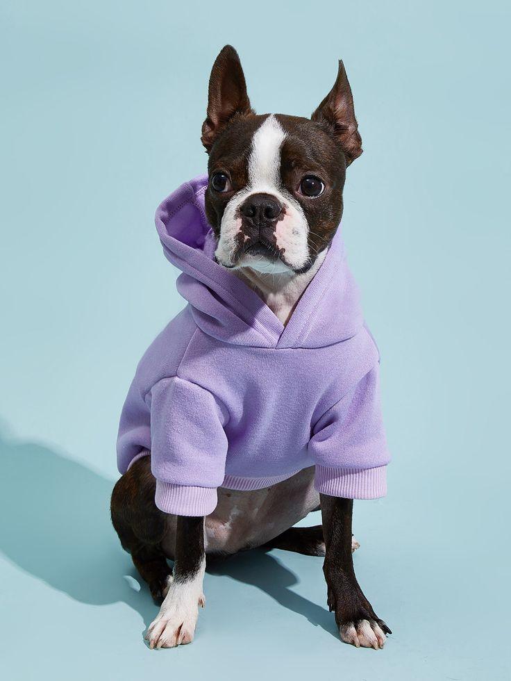 Roupas de Inverno para Pets com Capuz - Adidog™ - My Store